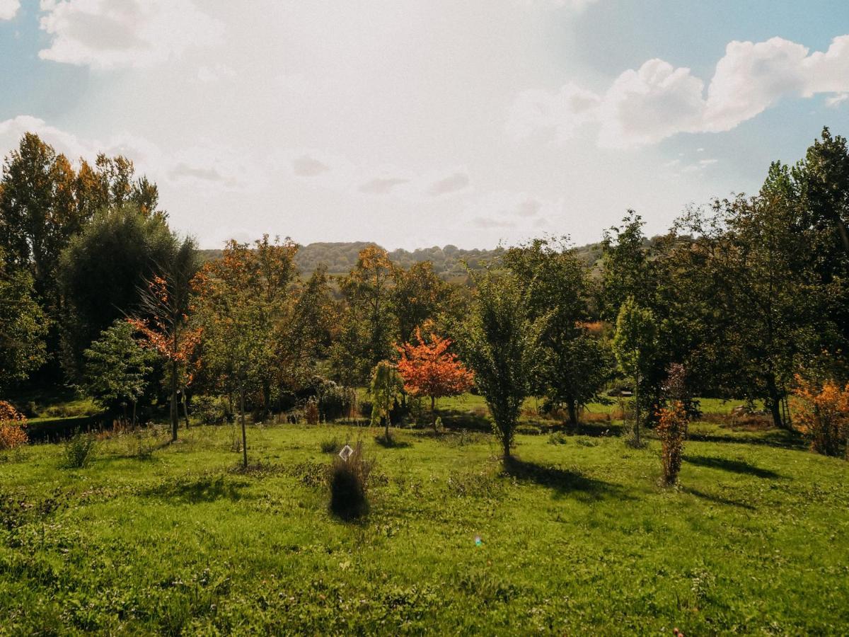 Weinhotel Wasem Ingelheim am Rhein Dış mekan fotoğraf