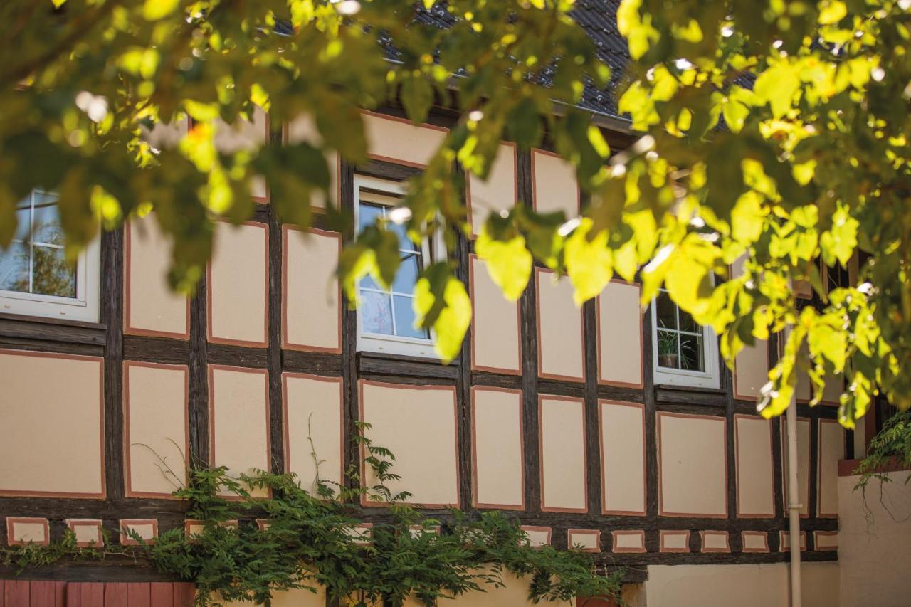 Weinhotel Wasem Ingelheim am Rhein Dış mekan fotoğraf